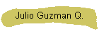 Julio Guzman Q.